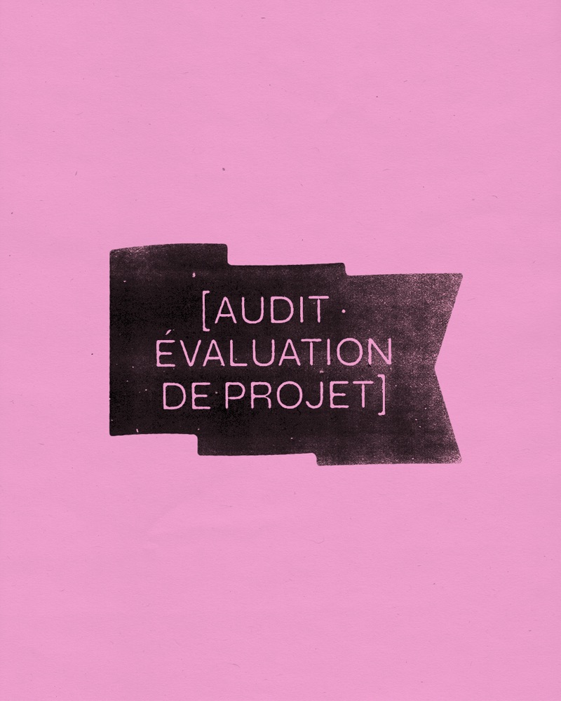 Visuel [AUDIT · ÉVALUATION DE PROJET] : drapeau Octave imprimé sur papier rose
